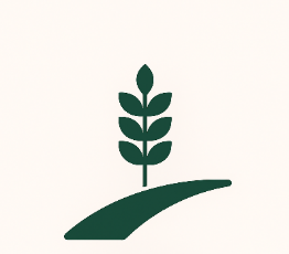 Average Cereal Yields